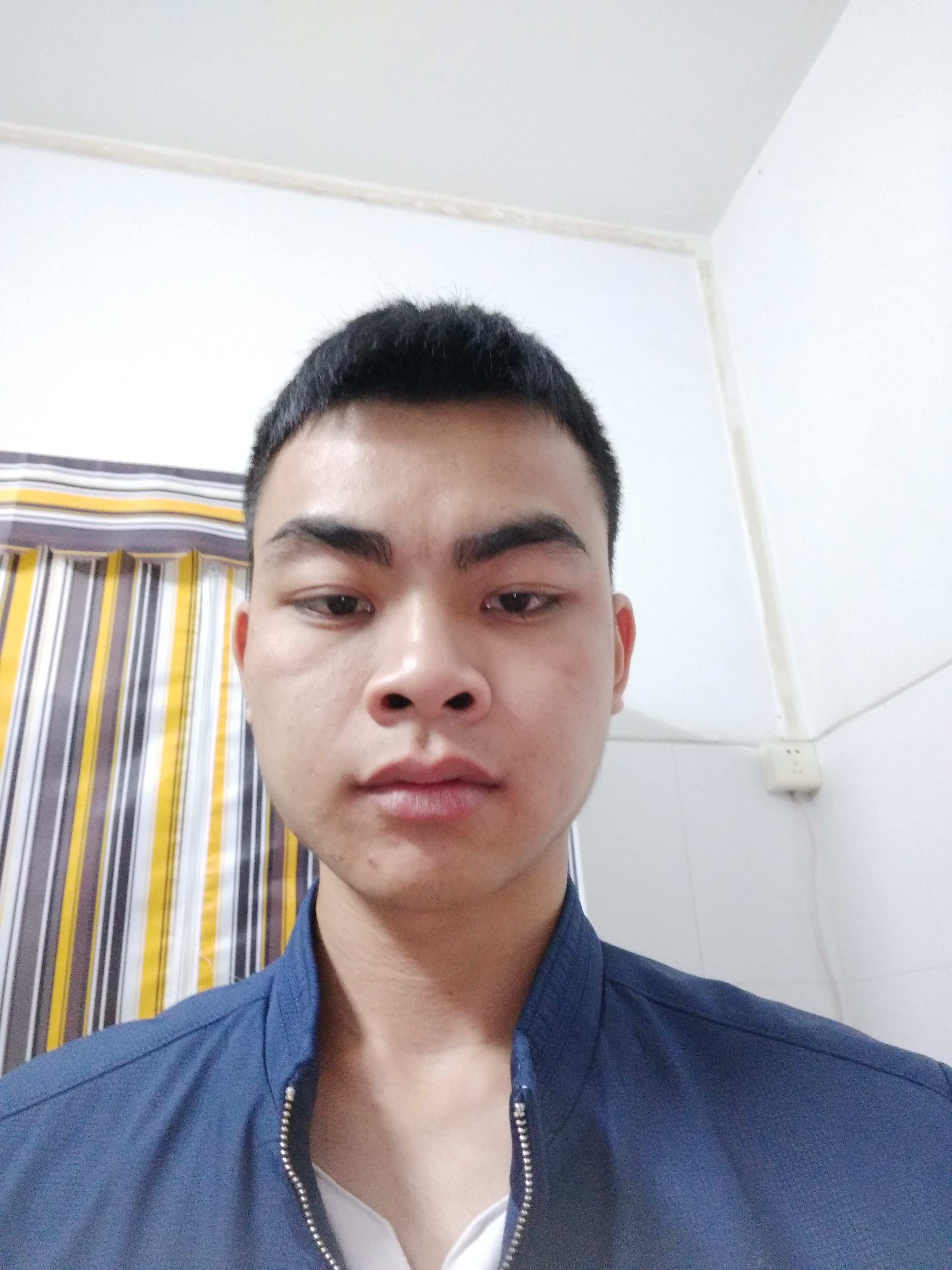 ������Ƭ