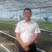 ������Ƭ